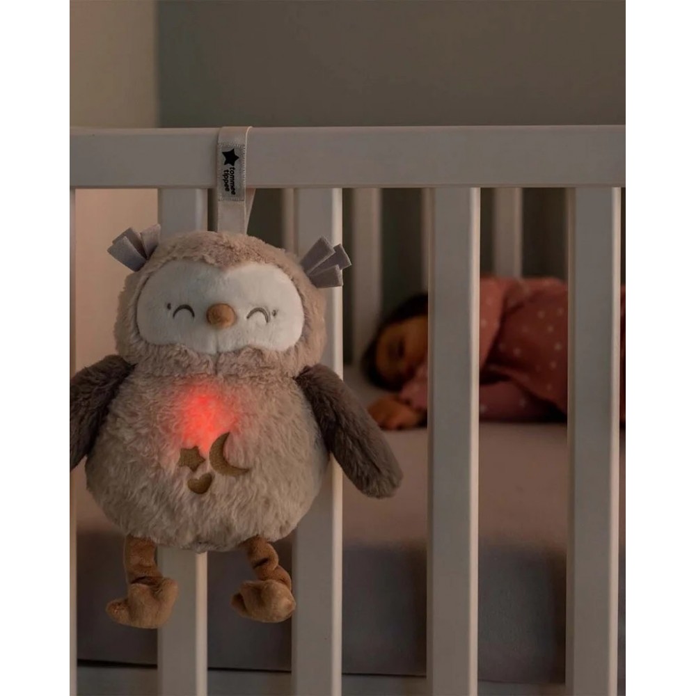 GRO COMPANY: OLLIE Η ΚΟΥΚΟΥΒΑΓΙΑ DELUXE ΕΠΑΝΑΦΟΡΤΙΖΟΜΕΝΗ ΜΕ USB (491646)