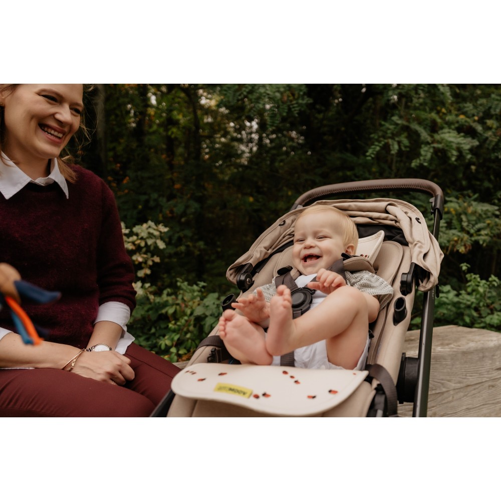 AEROMOOV ΑΝΤΙ-ΙΔΡΩΤΙΚΟ ΚΑΛΥΜΜΑ AIR LAYER  ΓΙΑ ΚΑΘΙΣΜΑ ΑΥΤΟΚΙΝΗΤΟΥ GROUP BUGGY LADYBUG (AL-B-LBG)