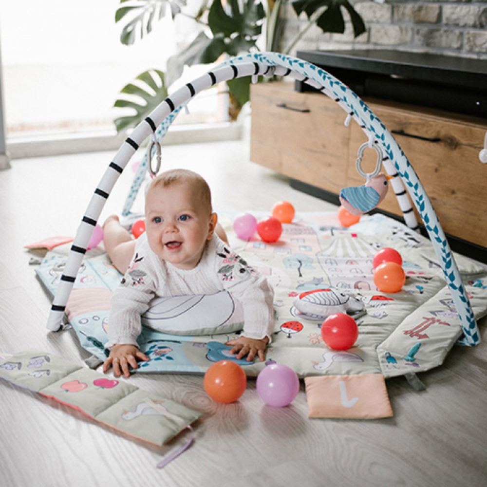BABYONO: ΕΚΠΑΙΔΕΥΤΙΚΌ ΧΑΛΆΚΙ ΔΡΑΣΤΗΡΙΟΤΉΤΩΝ - ΒΡΕΦΙΚΌ ΓΥΜΝΑΣΤΉΡΙΟ FUNNY FARM (BN1486)
