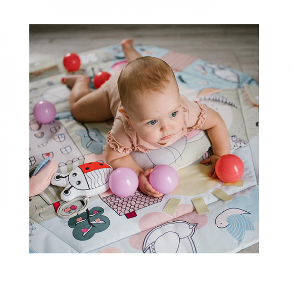 BABYONO: ΕΚΠΑΙΔΕΥΤΙΚΌ ΧΑΛΆΚΙ ΔΡΑΣΤΗΡΙΟΤΉΤΩΝ - ΒΡΕΦΙΚΌ ΓΥΜΝΑΣΤΉΡΙΟ FUNNY FARM (BN1486)