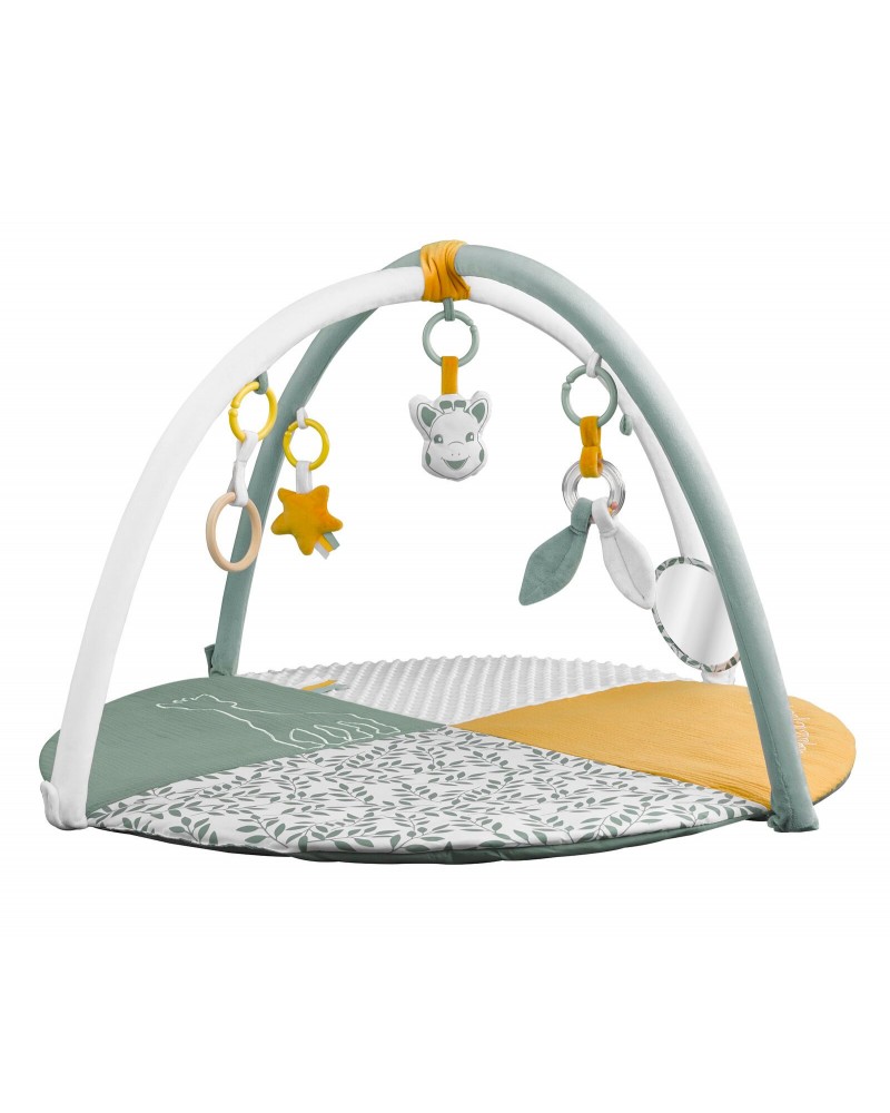 ΣΟΦΙ Η ΚΑΜΗΛΟΠΑΡΔΑΛΗ ΓΥΜΝΑΣΤΗΡΙΟ ΧΑΛΑΚΙ ΔΡΑΣΤΗΡΙΟΤΗΤΩΝ 2 ΟΨΕΩΝ (S010410)