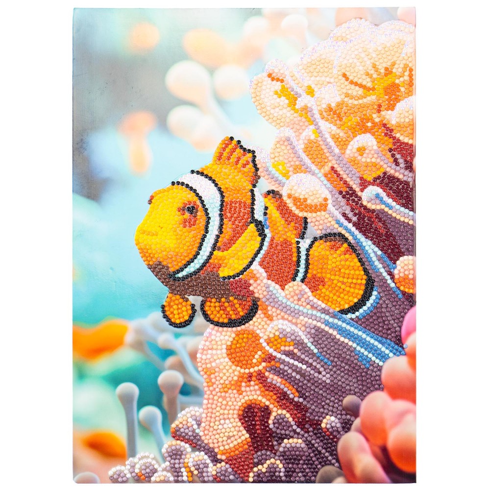 DIAMANTINY LEVEL UP ΔΙΑΚΟΣΜΗΣΕ ΜΕ ΧΡΩΜΑΤΙΣΤΑ ΠΕΤΡΑΔΑΚΙΑ ΨΑΡΙ ΚΛΟΟΥΝ (96406)