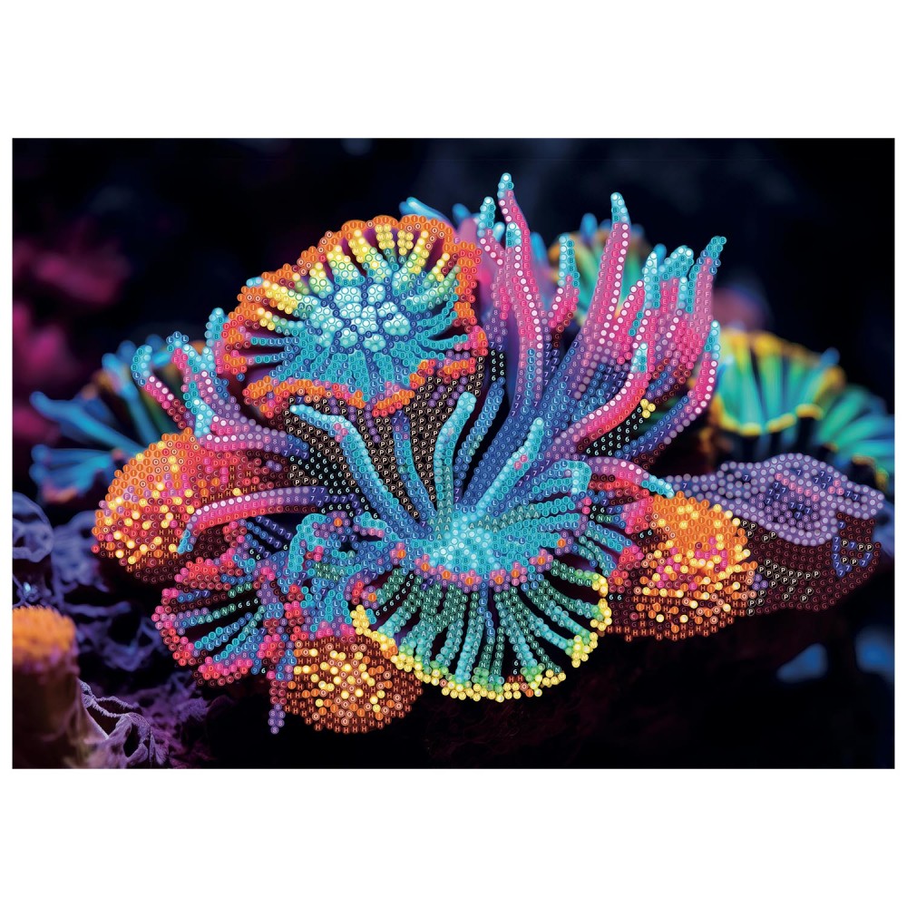 DIAMANTINY LEVEL UP ΔΙΑΚΟΣΜΗΣΕ ΜΕ ΧΡΩΜΑΤΙΣΤΑ ΠΕΤΡΑΔΑΚΙΑ ΑΝΕΜΩΝΗ (96407)