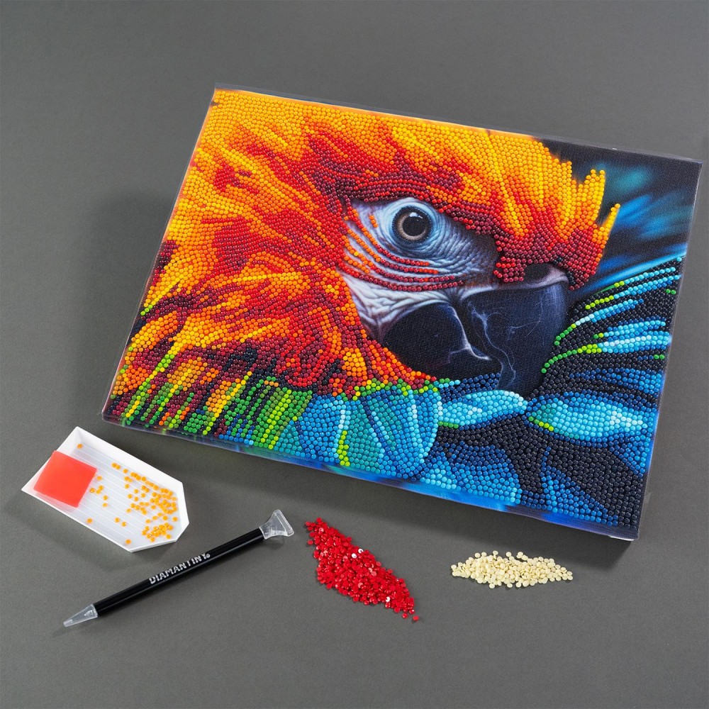 DIAMANTINY LEVEL UP ΔΙΑΚΟΣΜΗΣΕ ΜΕ ΧΡΩΜΑΤΙΣΤΑ ΠΕΤΡΑΔΑΚΙΑ ΠΙΝΑΚΑΣ ΠΑΠΑΓΑΛΟΣ ARA (96577)