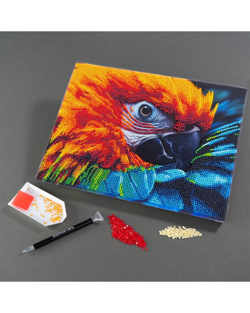 DIAMANTINY LEVEL UP ΔΙΑΚΟΣΜΗΣΕ ΜΕ ΧΡΩΜΑΤΙΣΤΑ ΠΕΤΡΑΔΑΚΙΑ ΠΙΝΑΚΑΣ ΠΑΠΑΓΑΛΟΣ ARA (96577)