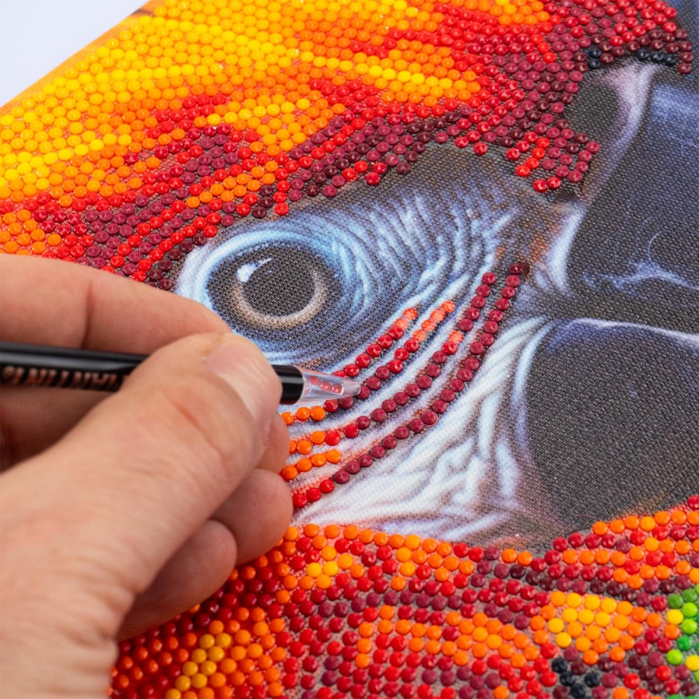 DIAMANTINY LEVEL UP ΔΙΑΚΟΣΜΗΣΕ ΜΕ ΧΡΩΜΑΤΙΣΤΑ ΠΕΤΡΑΔΑΚΙΑ ΠΙΝΑΚΑΣ ΠΑΠΑΓΑΛΟΣ ARA (96577)