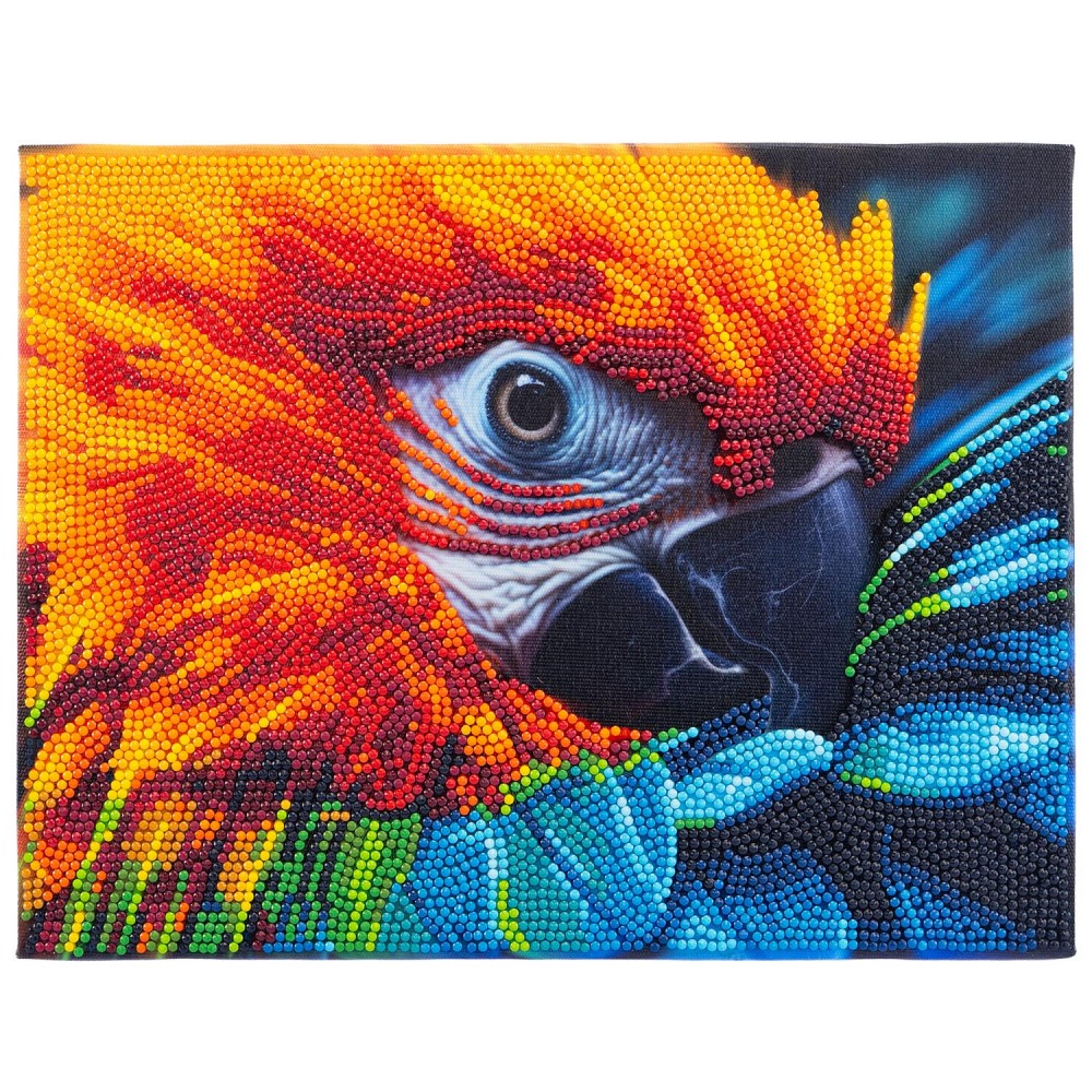 DIAMANTINY LEVEL UP ΔΙΑΚΟΣΜΗΣΕ ΜΕ ΧΡΩΜΑΤΙΣΤΑ ΠΕΤΡΑΔΑΚΙΑ ΠΙΝΑΚΑΣ ΠΑΠΑΓΑΛΟΣ ARA (96577)