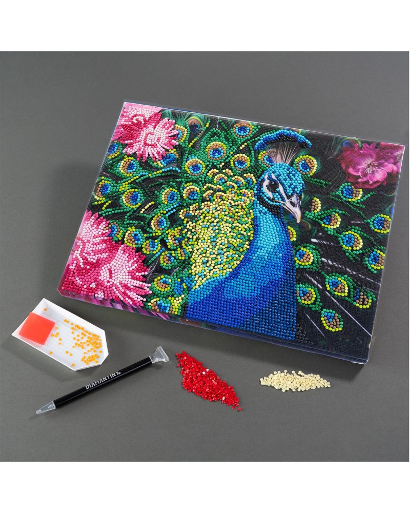 DIAMANTINY LEVEL UP ΔΙΑΚΟΣΜΗΣΕ ΜΕ ΧΡΩΜΑΤΙΣΤΑ ΠΕΤΡΑΔΑΚΙΑ ΠΙΝΑΚΑΣ ΠΑΓΩΝΙ (96578)