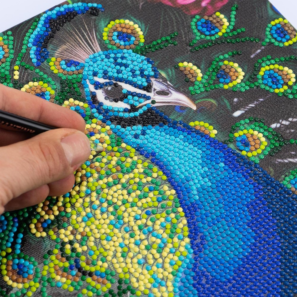 DIAMANTINY LEVEL UP ΔΙΑΚΟΣΜΗΣΕ ΜΕ ΧΡΩΜΑΤΙΣΤΑ ΠΕΤΡΑΔΑΚΙΑ ΠΙΝΑΚΑΣ ΠΑΓΩΝΙ (96578)