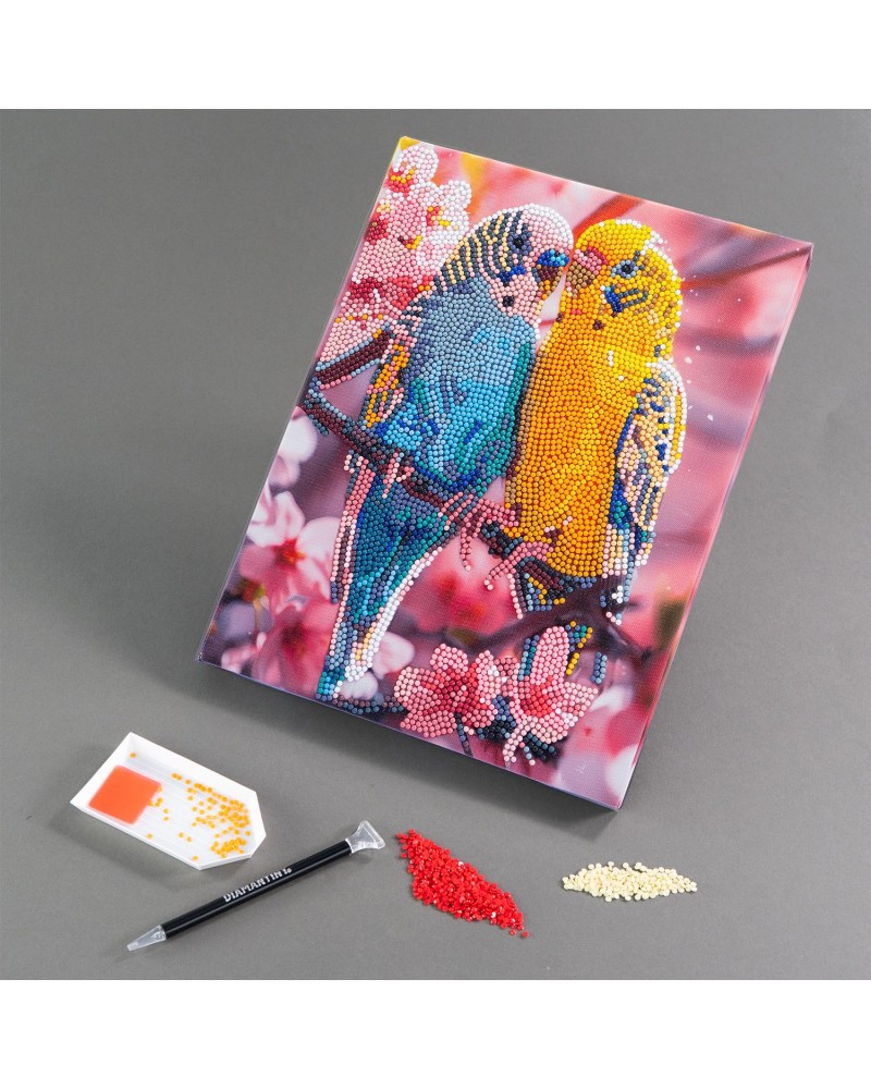 DIAMANTINY LEVEL UP ΔΙΑΚΟΣΜΗΣΕ ΜΕ ΧΡΩΜΑΤΙΣΤΑ ΠΕΤΡΑΔΑΚΙΑ ΠΙΝΑΚΑΣ ΠΑΠΑΓΑΛΑΚΙΑ (96579)