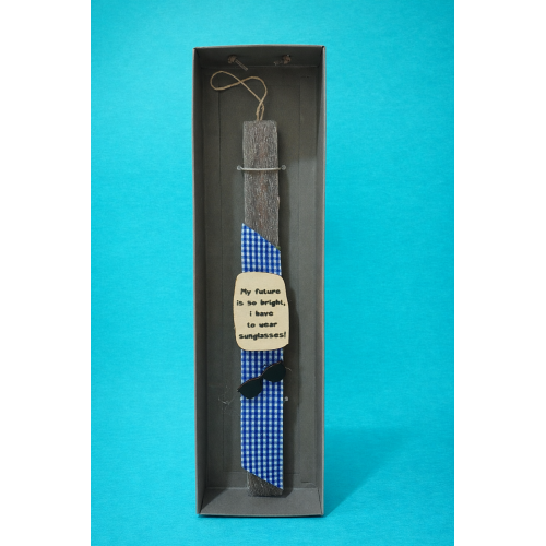 ΛΑΜΠΑΔΑ SUNGLASSES (5212018795396)