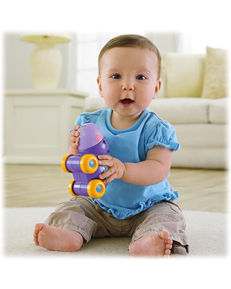 FISHER PRICE ΙΠΠΟΠΟΤΑΜΟΣ ΜΕ ΜΠΑΛΙΤΣΕΣ (BGX30)