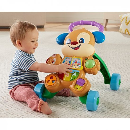 FISHER PRICE LAUGH & LEARN ΕΚΠΑΙΔΕΥΤΙΚΗ ΣΤΡΑΤΑ ΣΚΥΛΑΚΙ SMART STAGES (FTC66) FISHER PRICE LAUGH & LEARN ΕΚΠΑΙΔΕΥΤΙΚΗ ΣΤΡΑΤΑ ΣΚΥΛΑΚΙ SMART STAGES (FTC66)