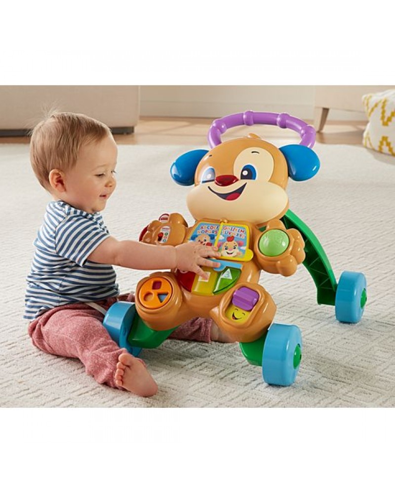 FISHER PRICE LAUGH & LEARN ΕΚΠΑΙΔΕΥΤΙΚΗ ΣΤΡΑΤΑ ΣΚΥΛΑΚΙ SMART STAGES (FTC66)