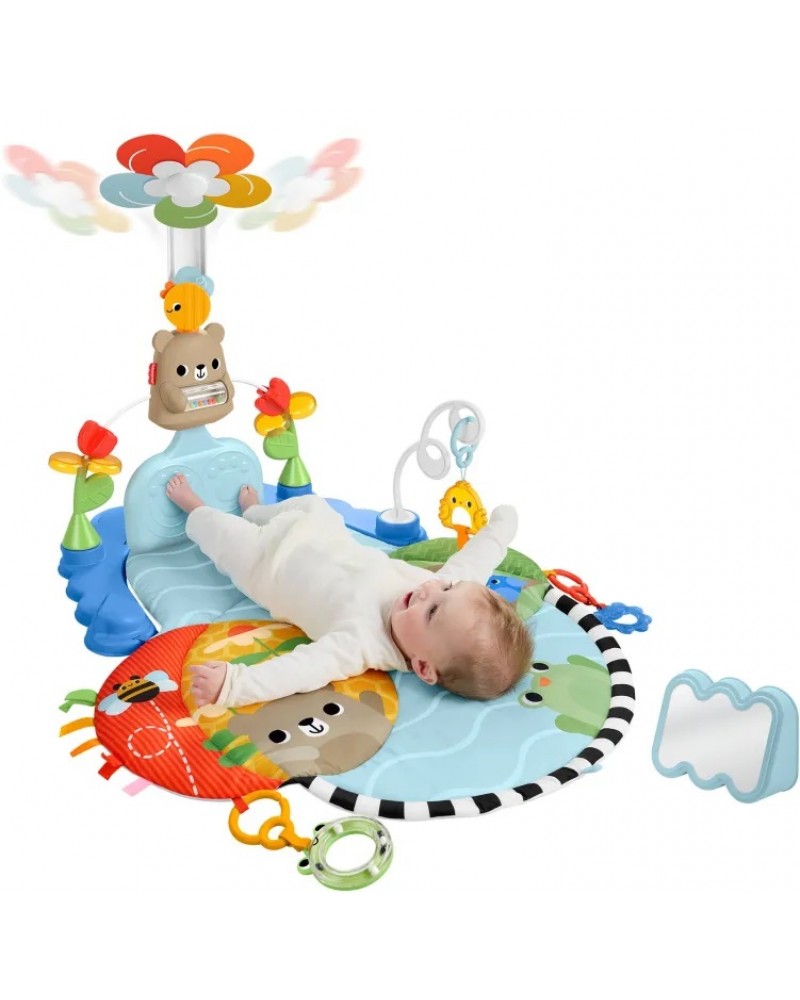 FISHER PRICE ΓΥΜΝΑΣΤΗΡΙΟ 3 ΣΕ 1 ΜΕ ΛΟΥΛΟΥΔΙ (HYR60)