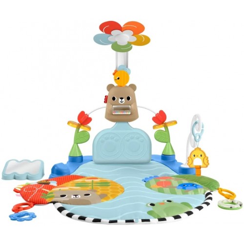 FISHER PRICE ΓΥΜΝΑΣΤΗΡΙΟ 3 ΣΕ 1 ΜΕ ΛΟΥΛΟΥΔΙ (HYR60)