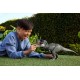 JURASSIC WORLD REBIRTH POWER DEVOUR - T-REX ΜΕ ΕΠΑΝΑΛΑΜΒΑΝΟΜΕΝΟ ΔΑΓΚΩΜΑ ΚΑΙ ΗΧΟΥΣ (JCH02)