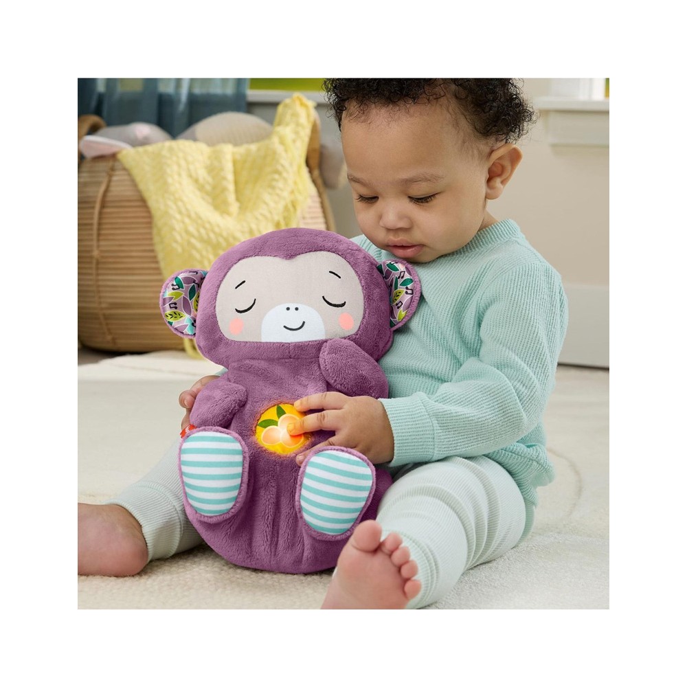 FISHER PRICE ΜΑΪΜΟΥΔΑΚΙ ΑΓΚΑΛΙΑΣ ΜΕ ΚΙΝΗΣΗ ΑΝΑΠΝΟΗΣ & ΜΟΥΣΙΚΗ (JLH41)