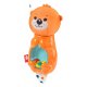 FISHER PRICE ΖΩΑΚΙΑ ΚΟΥΔΟΥΝΙΣΤΡΕΣ ΒΙΔΡΑ (FXC21) FISHER PRICE ΖΩΑΚΙΑ ΚΟΥΔΟΥΝΙΣΤΡΕΣ ΒΙΔΡΑ (FXC21)