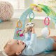 FISHER PRICE ΒΡΑΔΥΠΟΥΣ ΓΥΜΝΑΣΤΗΡΙΟ (GNB52) FISHER PRICE ΒΡΑΔΥΠΟΥΣ ΓΥΜΝΑΣΤΗΡΙΟ (GNB52)