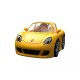 PLAYMOBIL X PORSCHE CARRERA GT (71859)