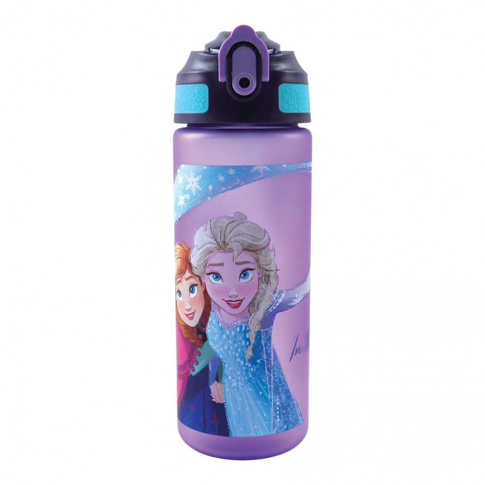 GIM ΠΑΓΟΥΡΙ ΠΛΑΣΤΙΚΟ ΜΕ ΚΑΛΑΜΑΚΙ 600ML FROZEN (551-47217)