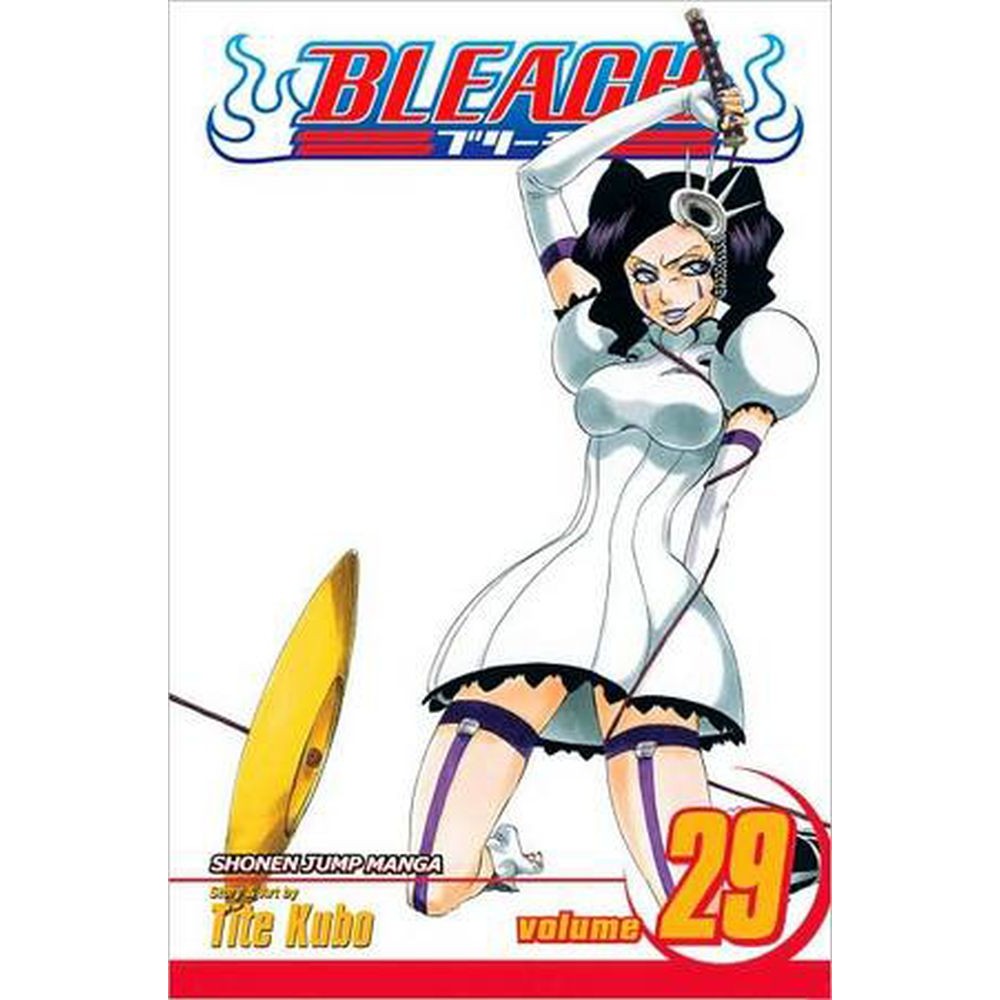 Viz Bleach Vol. 29 Paperback Manga
