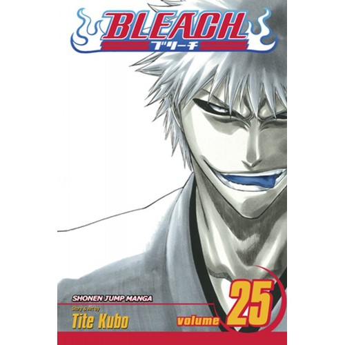 Viz Bleach Vol. 25 Paperback Manga