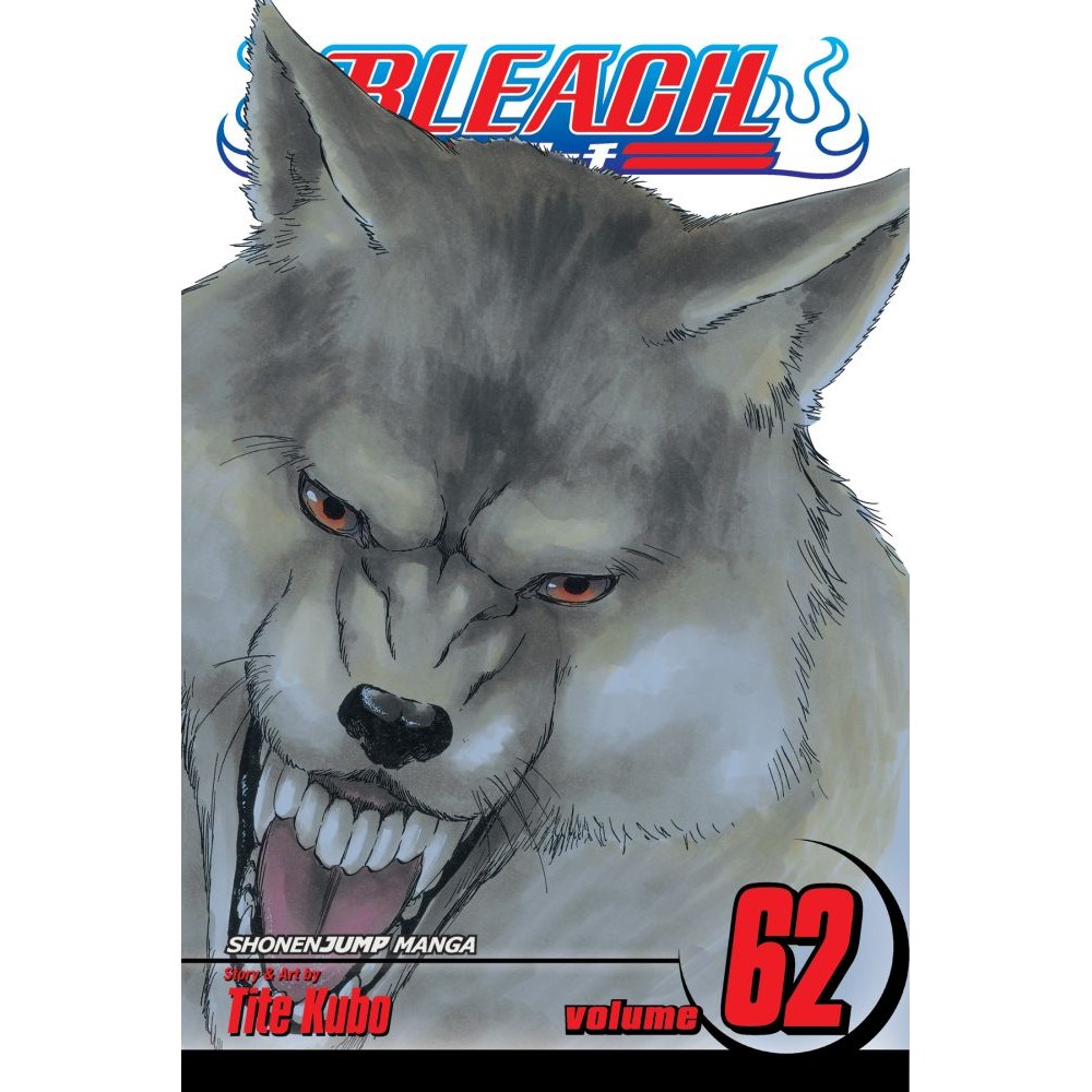 Viz Bleach Vol. 62 Paperback Manga