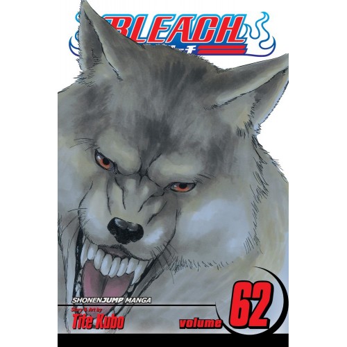 Viz Bleach Vol. 62 Paperback Manga