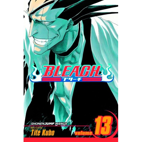 Viz Bleach Vol. 13 Paperback Manga
