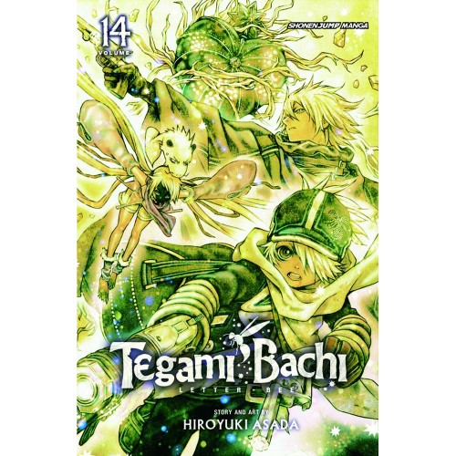 Viz Tegami Bachi GN Vol. 14 Paperback Manga