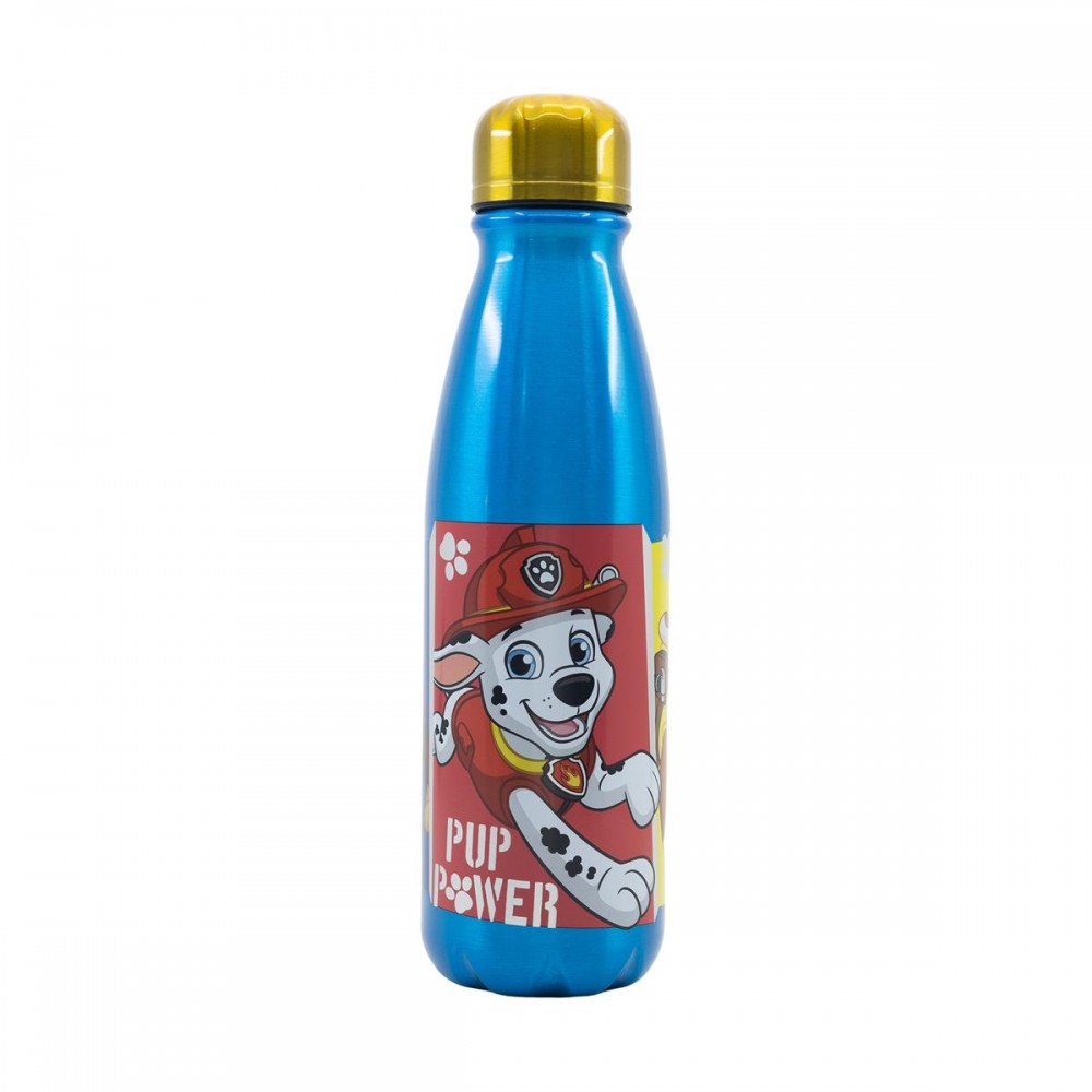 Stor: Paw Patrol Pup Power - Daily Aluminium Bottle (600ml) (74640)