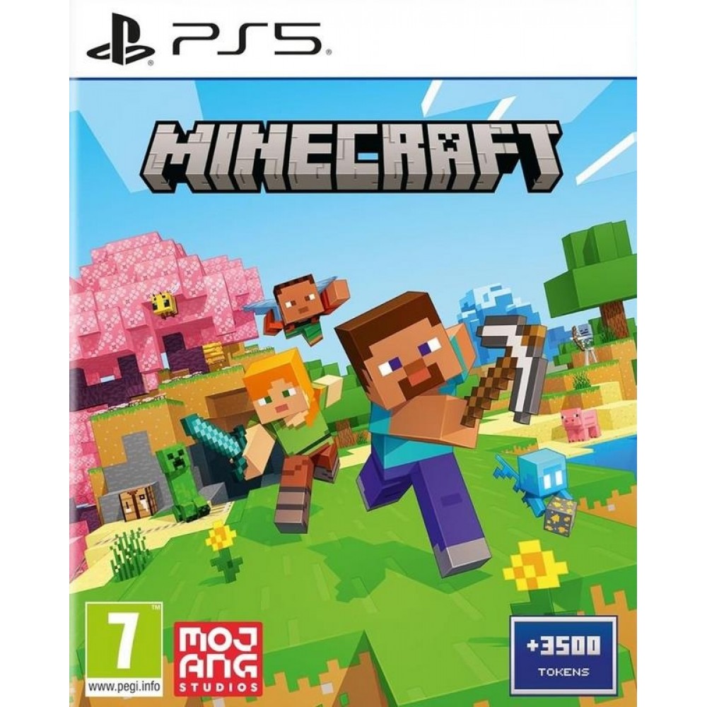 PS5 Minecraft