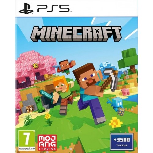 PS5 Minecraft