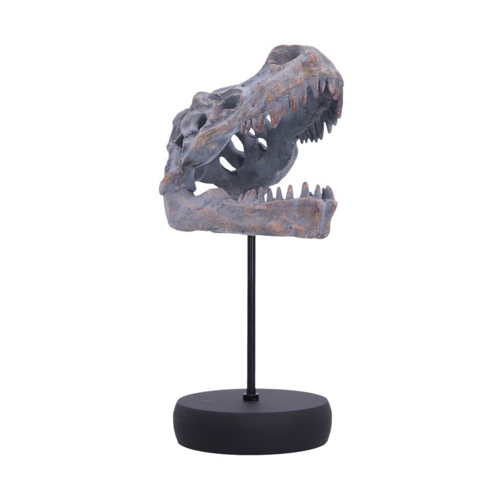 Nemesis Now: Tyrannosaurus Rex Skull on Plinth (D7553B26)