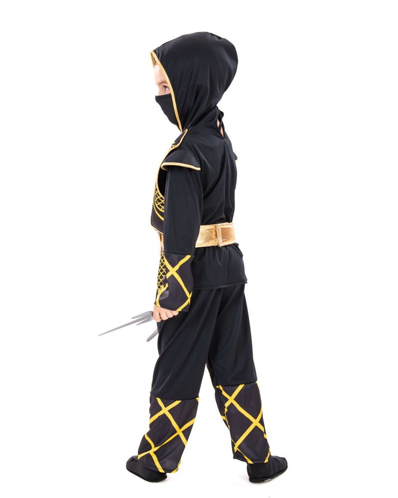 Αποκριάτικη Στολή Golden Ninja
