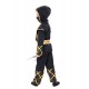 Αποκριάτικη Στολή Golden Ninja