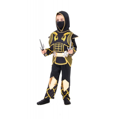 Αποκριάτικη Στολή Golden Ninja