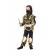Αποκριάτικη Στολή Golden Ninja