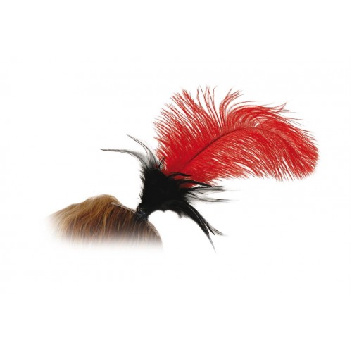 Αποκριάτικο Αξεσουάρ Χτενάκι Με Φτερό Κόκκινο