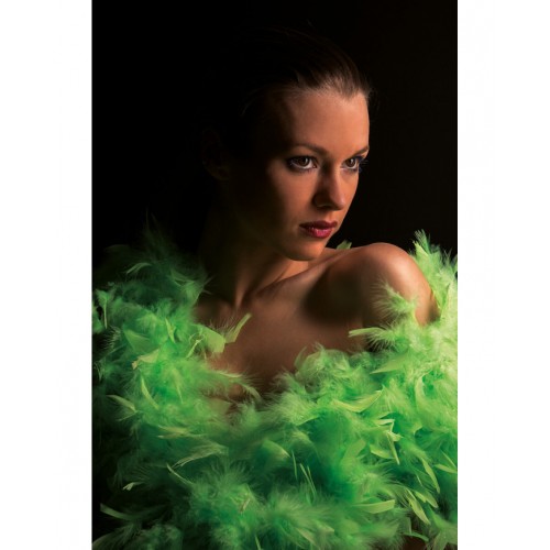 Φτερό Μποα Πράσινο Φλούο 180 εκ.