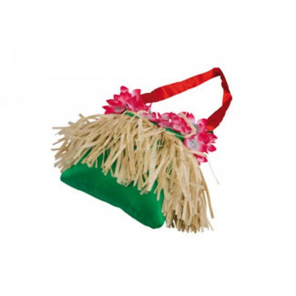 Τσαντάκι Χαβανέζας