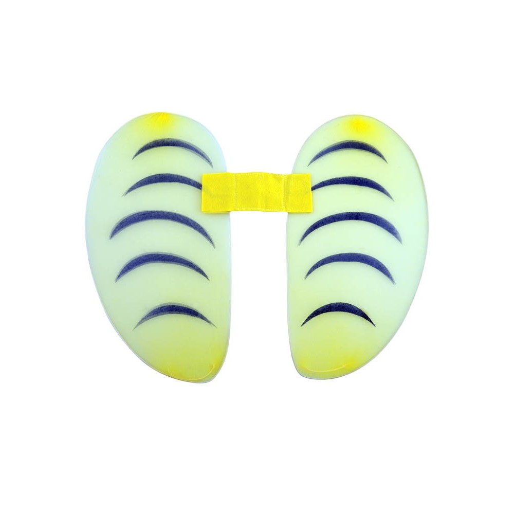 Φτερά Μελισσούλας