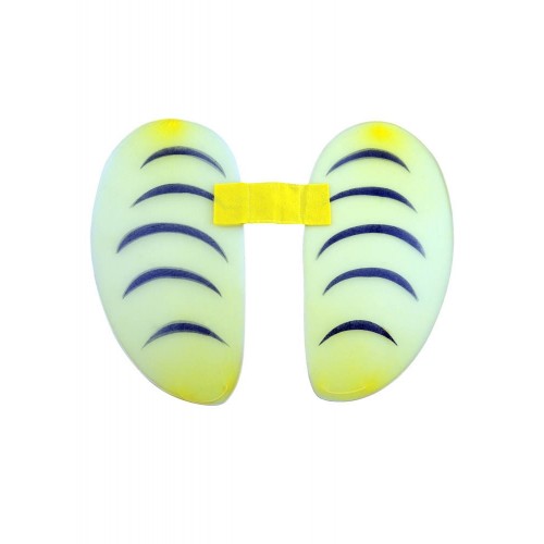 Φτερά Μελισσούλας