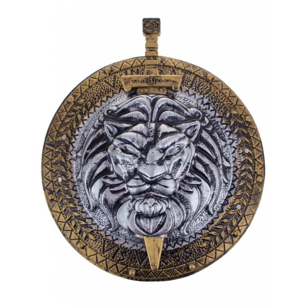 Σετ Ασπίδα Με Σπαθί  45cm