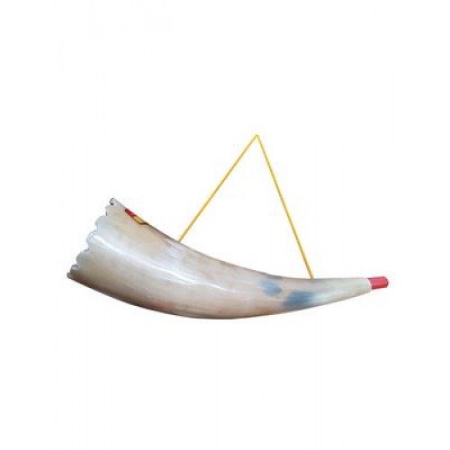 Κόρνα -Τρομπέτα  26cm x 6cm