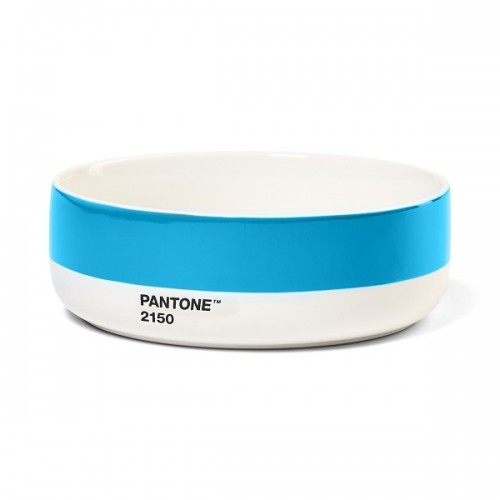 PANTONE™ - ΜΠΟΛ - ΓΑΛΑΖΙΟ 2150