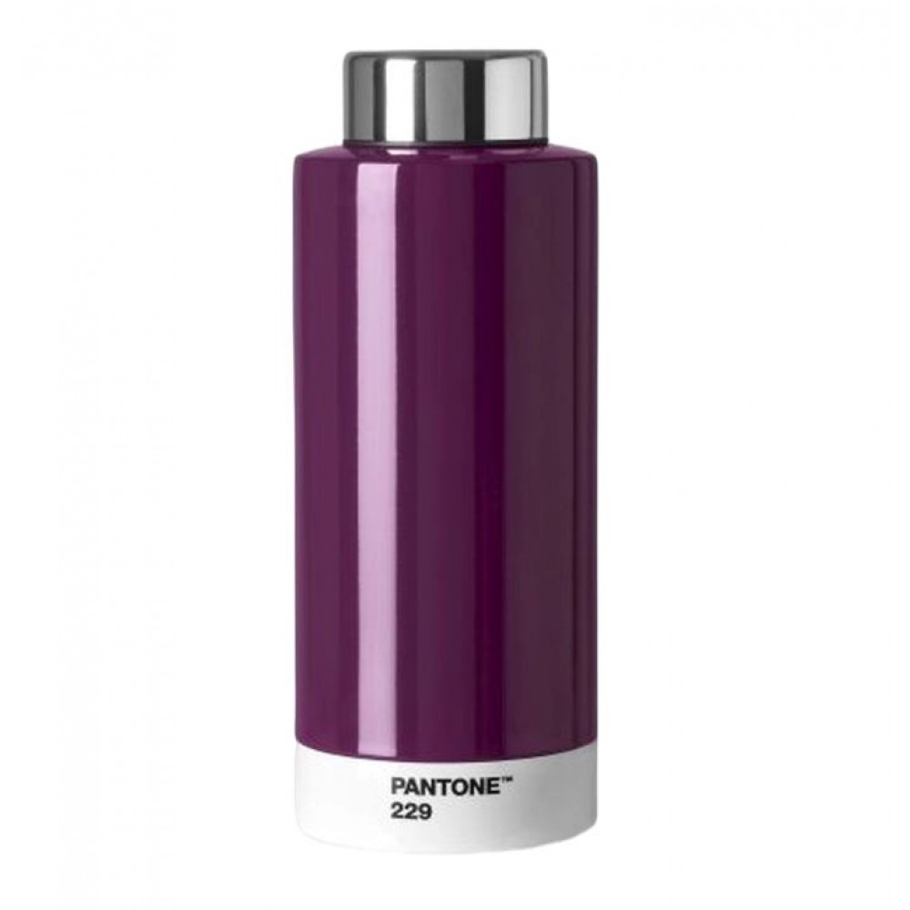 PANTONE™ - ΜΠΟΥΚΑΛΙ ΘΕΡΜΟΣ 500ML. - ΜΕΛΙΤΖΑΝΙ 229