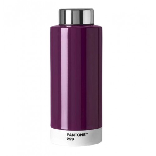 PANTONE™ - ΜΠΟΥΚΑΛΙ ΘΕΡΜΟΣ 500ML. - ΜΕΛΙΤΖΑΝΙ 229